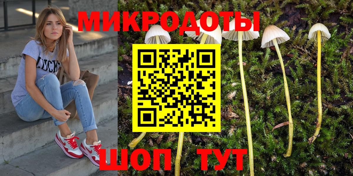 Псилоцибиновые грибы мицелий  Вход с VPN  Чебоксары 